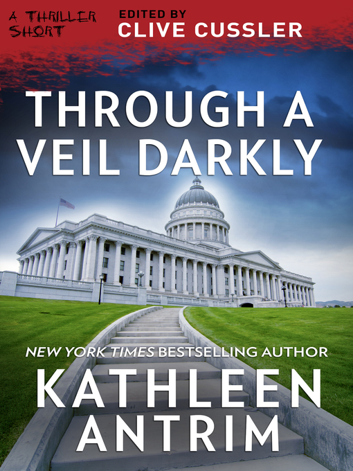 Title details for Through a Veil Darkly by Kathleen Antrim - Wait list